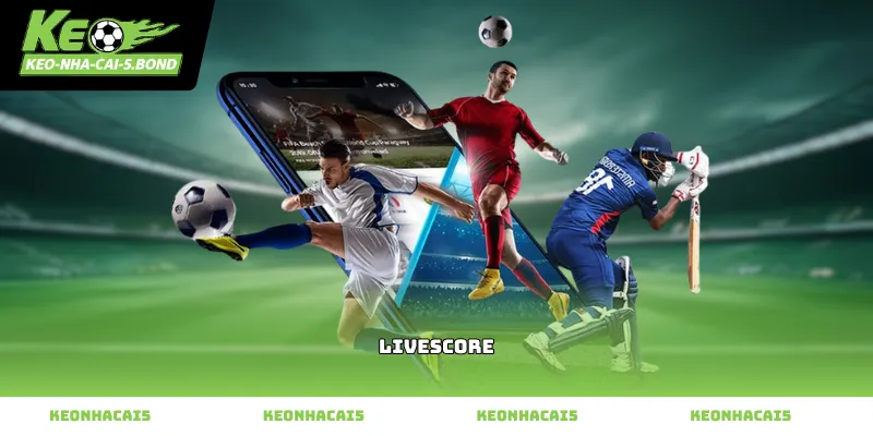 Cập nhật dữ liệu Livescore nhanh chóng và chuẩn xác