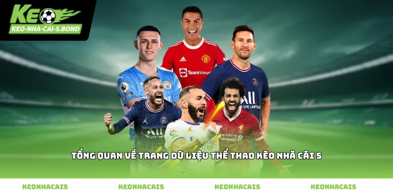 Tổng quan về trang dữ liệu thể thao kèo nhà cái 5